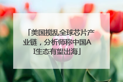 美国搅乱全球芯片产业链，分析师称中国AI生态有望出海