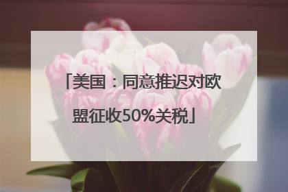 美国：同意推迟对欧盟征收50%关税