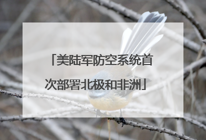 美陆军防空系统首次部署北极和非洲