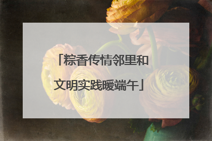 粽香传情邻里和 文明实践暖端午