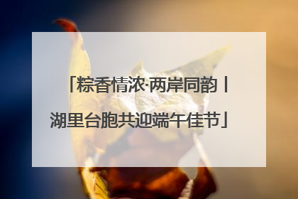 粽香情浓·两岸同韵丨湖里台胞共迎端午佳节