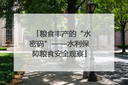 粮食丰产的“水密码”——水利保障粮食安全观察