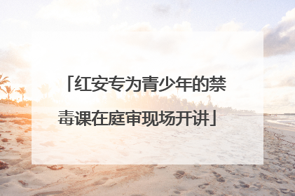 红安专为青少年的禁毒课在庭审现场开讲