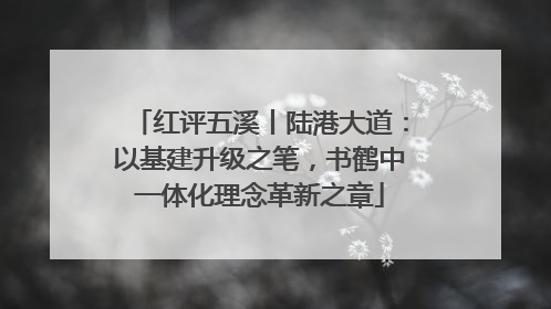 红评五溪丨陆港大道：以基建升级之笔，书鹤中一体化理念革新之章