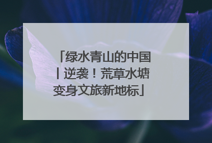 绿水青山的中国丨逆袭！荒草水塘变身文旅新地标