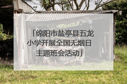 绵阳市盐亭县五龙小学开展全国无烟日主题班会活动