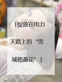 绽放在电力天路上的“雪域格桑花”