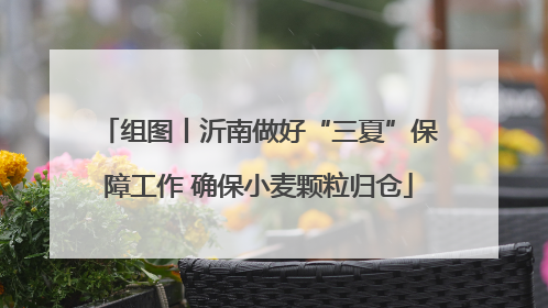 组图丨沂南做好“三夏”保障工作 确保小麦颗粒归仓
