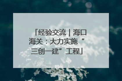 经验交流｜海口海关：大力实施“三创一建”工程