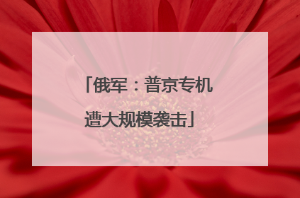 俄军：普京专机遭大规模袭击