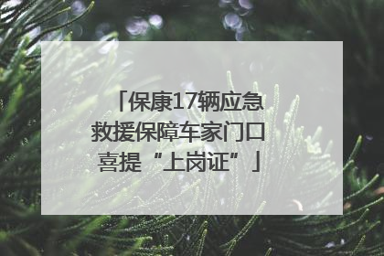 保康17辆应急救援保障车家门口喜提“上岗证”