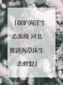 保护海洋生态系统 河北推进海草床生态修复
