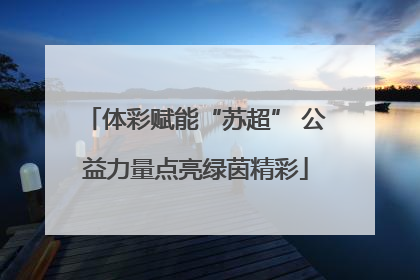 体彩赋能“苏超” 公益力量点亮绿茵精彩