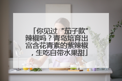 你见过“茄子款”辣椒吗？青岛培育出富含花青素的紫辣椒，生吃自带水果甜