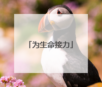 为生命接力