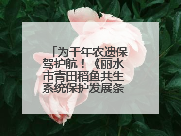 为千年农遗保驾护航！《丽水市青田稻鱼共生系统保护发展条例》正式施行