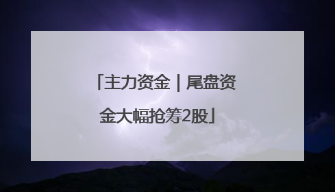 主力资金｜尾盘资金大幅抢筹2股