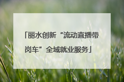 丽水创新“流动直播带岗车”全域就业服务