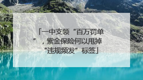 一中支领“百万罚单”，紫金保险何以甩掉“违规频发”标签