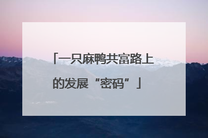 一只麻鸭共富路上的发展“密码”