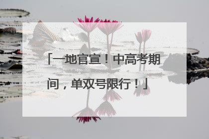 一地官宣！中高考期间，单双号限行！