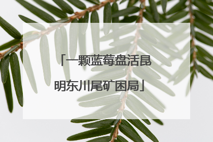 一颗蓝莓盘活昆明东川尾矿困局