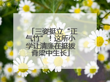 三姿挺立“正气竹”！这所小学让清廉在挺拔脊梁中生长