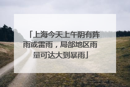 上海今天上午阴有阵雨或雷雨，局部地区雨量可达大到暴雨