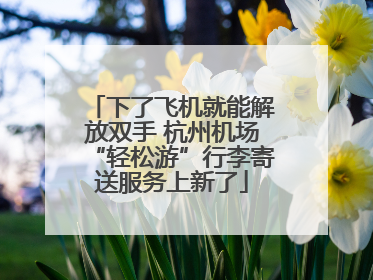 下了飞机就能解放双手 杭州机场“轻松游”行李寄送服务上新了