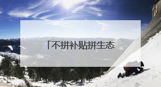 不拼补贴拼生态，总部项目纷至沓来 招商“反内卷”下的光谷之变