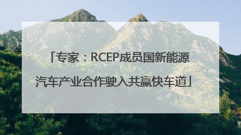 专家：RCEP成员国新能源汽车产业合作驶入共赢快车道