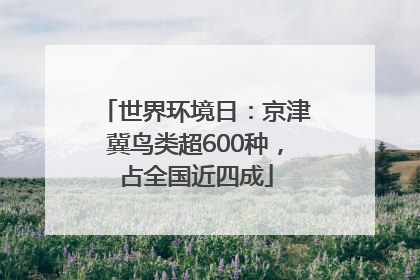 世界环境日：京津冀鸟类超600种，占全国近四成
