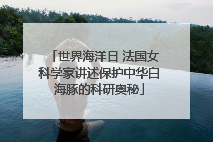 世界海洋日 法国女科学家讲述保护中华白海豚的科研奥秘