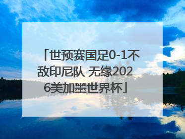 世预赛国足0-1不敌印尼队 无缘2026美加墨世界杯