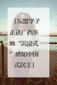 东盟学子走进广西多地“沉浸式”感知中国式民主