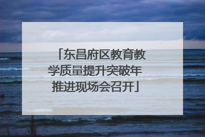 东昌府区教育教学质量提升突破年推进现场会召开