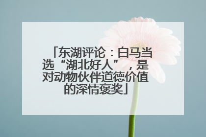 东湖评论：白马当选“湖北好人”，是对动物伙伴道德价值的深情褒奖
