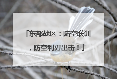 东部战区：陆空联训，防空利刃出击！