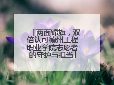 两面锦旗，双倍认可德州工程职业学院志愿者的守护与担当