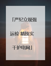 严纪立规强运检 精技实干护电网
