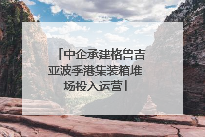 中企承建格鲁吉亚波季港集装箱堆场投入运营
