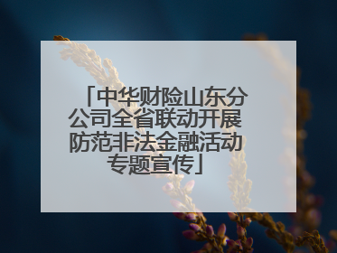 中华财险山东分公司全省联动开展防范非法金融活动专题宣传