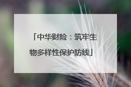 中华财险：筑牢生物多样性保护防线