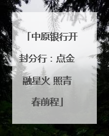 中原银行开封分行：点金融星火 照青春前程