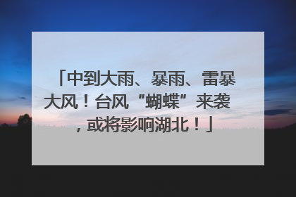 中到大雨、暴雨、雷暴大风！台风“蝴蝶”来袭，或将影响湖北！