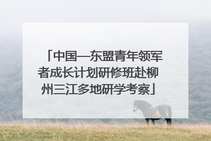 中国—东盟青年领军者成长计划研修班赴柳州三江多地研学考察