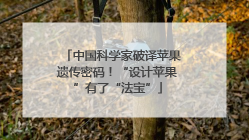 中国科学家破译苹果遗传密码！“设计苹果”有了“法宝”