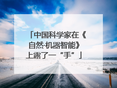 中国科学家在《自然·机器智能》上露了一“手”