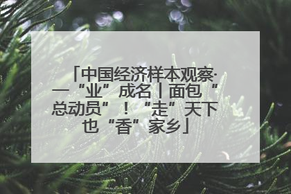 中国经济样本观察·一“业”成名丨面包“总动员”！“走”天下也“香”家乡