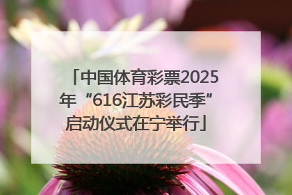 中国体育彩票2025年“616江苏彩民季”启动仪式在宁举行